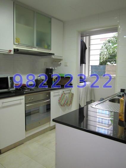 Scenic Heights (D12), Apartment #64987682
